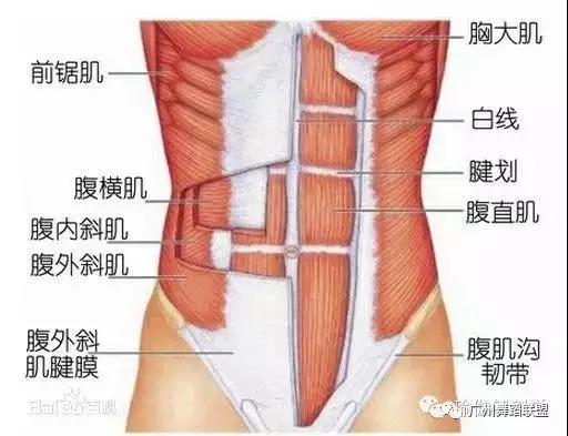 微信图片_20180131171509